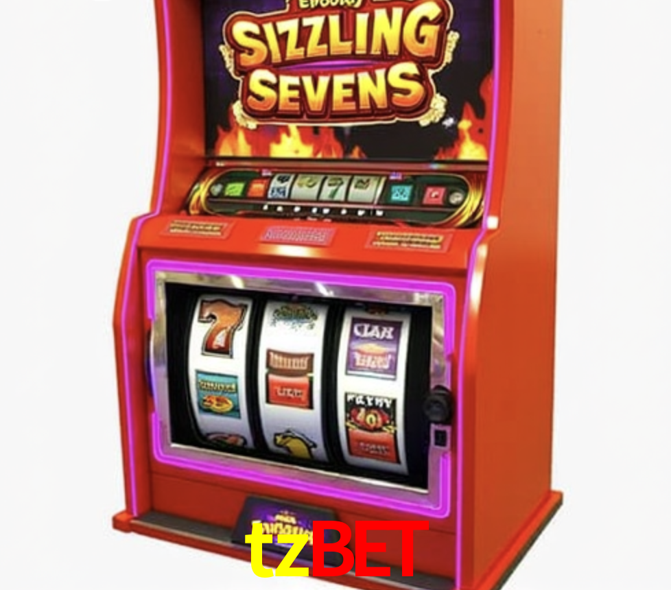Security Systems tzbet